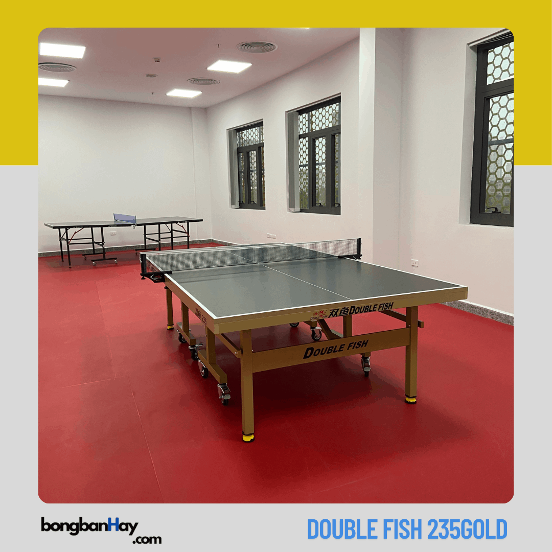 Bàn bóng bàn Double Fish 235 Gold